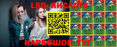 PSILOCYBIN Вышний Волочёк