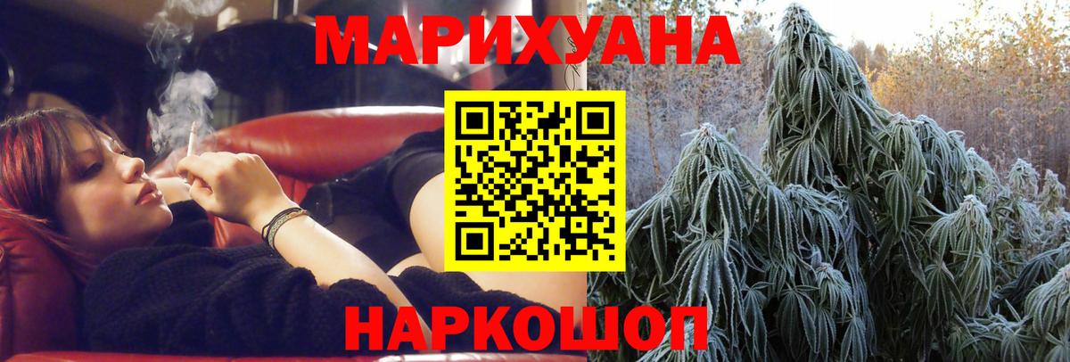 Конопля конопля Кисловодск
